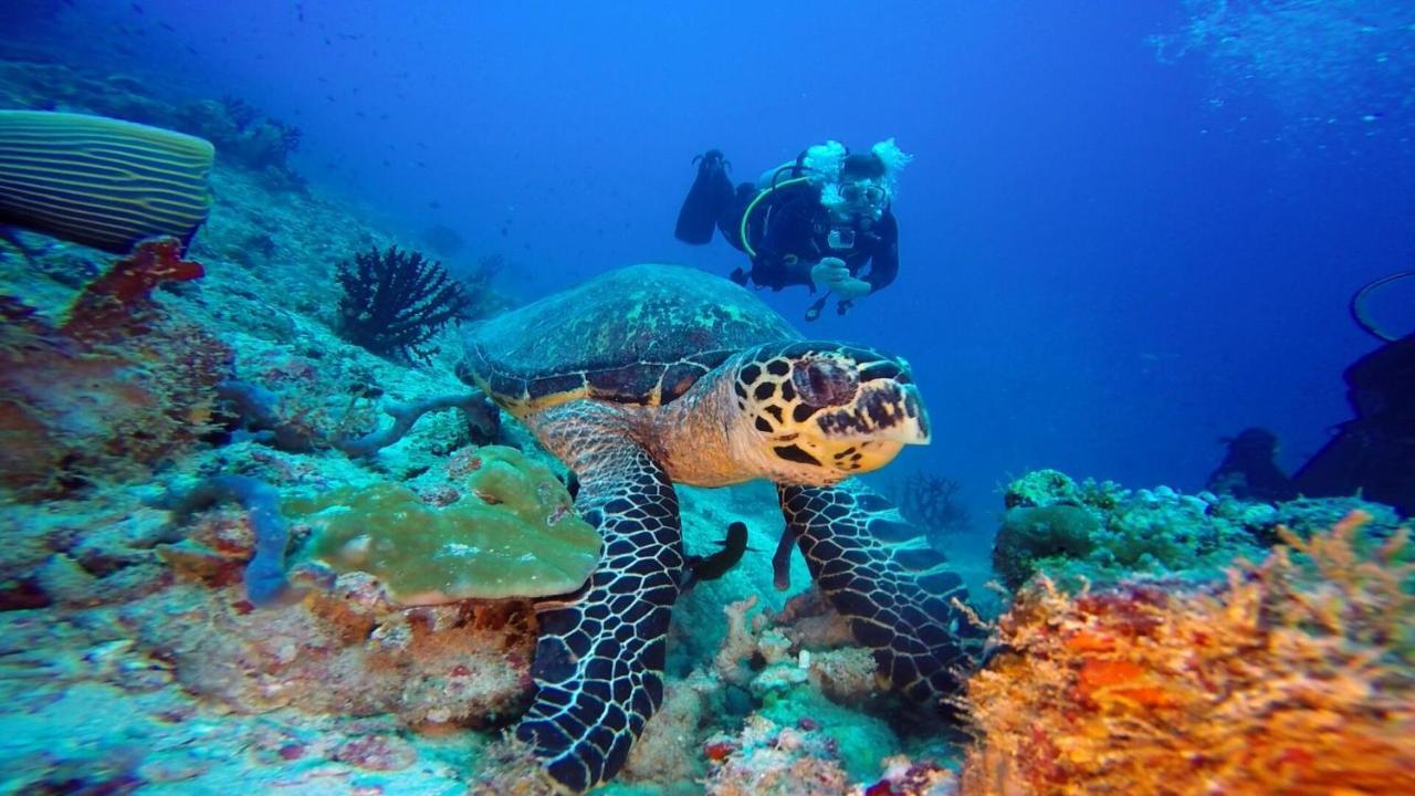 Club Kaafu Maldives Hotel Dhiffushi Eksteriør billede