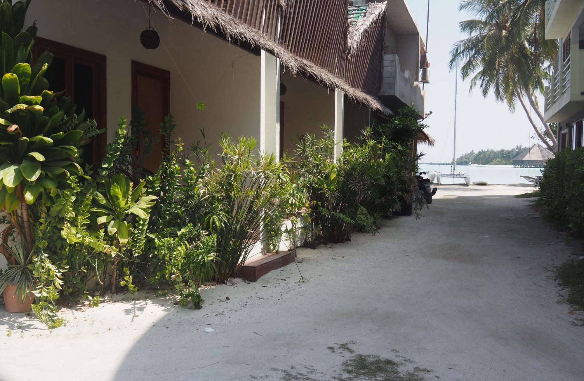 Club Kaafu Maldives Hotel Dhiffushi Værelse billede